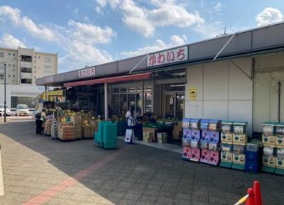 上尾市の尾山台団地の中央にあるスーパーです。鮮魚市場と銘打っており、お魚や貝類などお安く買えます。お野菜なども置いてあります。