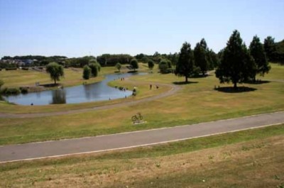 見沼田圃区域内に紅梅、白梅、しだれ梅など約520本の梅があり、毎年初春には「梅まつり」が開催され、テニスコートや軟式野球場で汗を流せる公園としても利用できます。 見沼田圃区域内に紅梅、白梅、しだれ梅など約520本の梅があり、毎年初春には「梅まつり」が開催され、テニスコートや軟式野球場で汗を流せる公園としても利用できます。