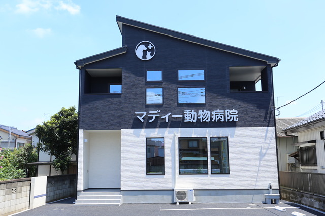 「マディー動物病院」上尾市本町　2020/08/01開院いたします。施工　（株）三国ホーム