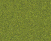 オリーブグリーン